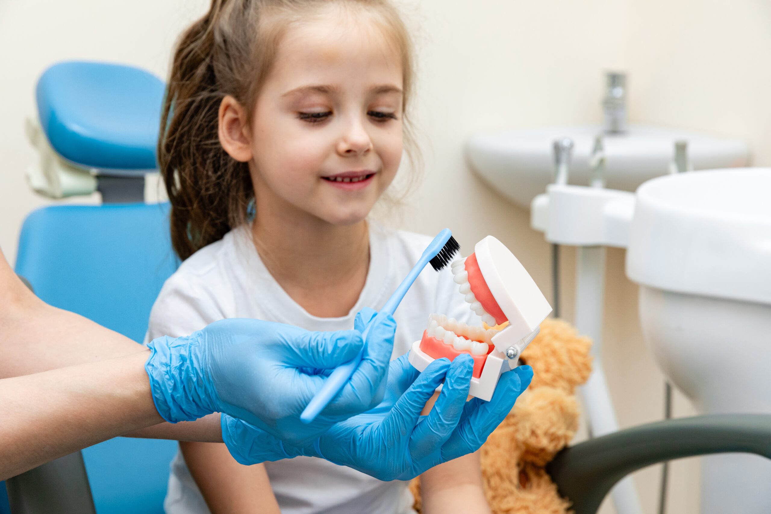 Female dentist teaches a little girl how to brush her teeth properly with jaw model and toothbrush