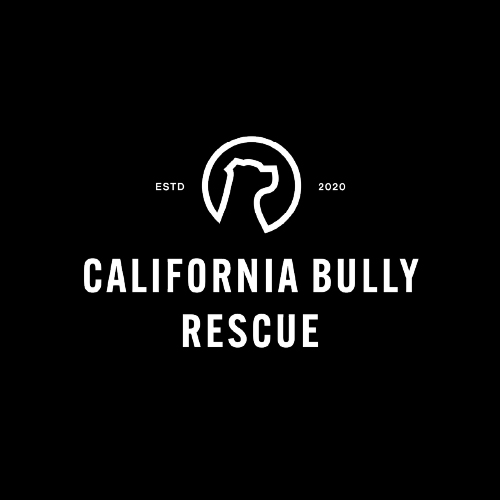 partner - california bully rescue